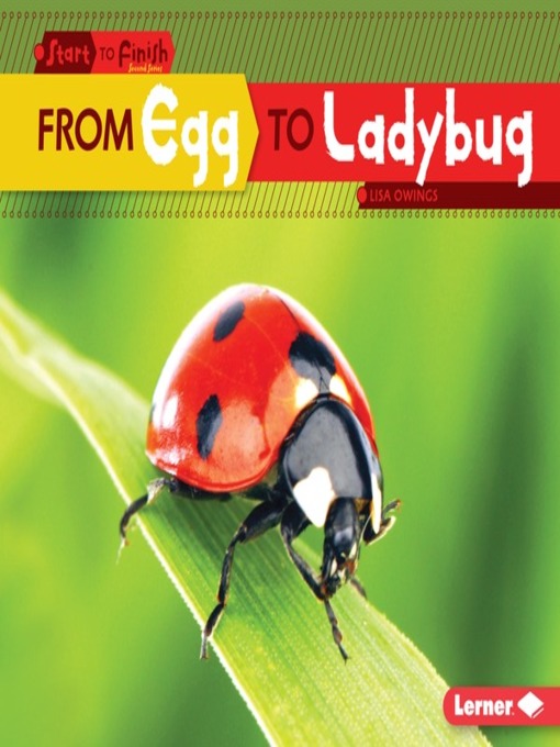 Title details for From Egg to Ladybug by Lisa Owings - Wait list